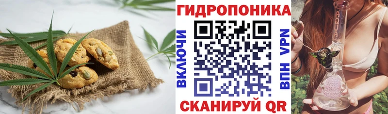 блэк спрут вход  где найти наркотики  Балтийск  Canna-Cookies конопля 