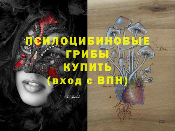 2c-b Балахна