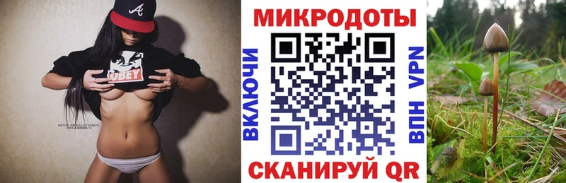 Галлюциногенные грибы MAGIC MUSHROOMS  Балтийск 
